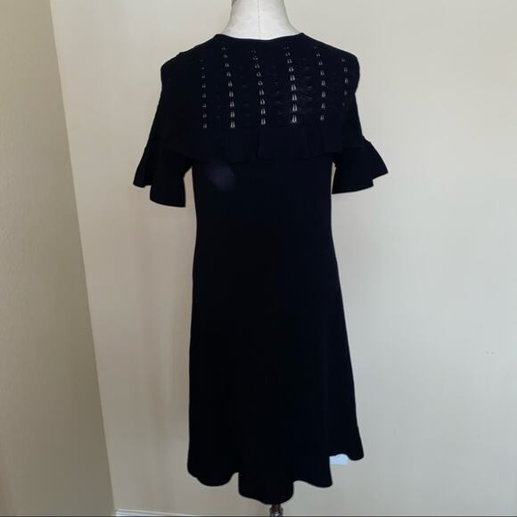 Ann Taylor Sweater dress with ruffle top, flare sleeves and flounce hem sz small - Picture 3 of 13